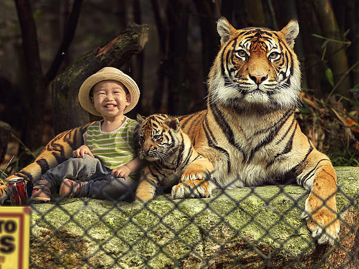 吵着要合影！（个人主页-ZMjY4MzU1OTI=） - 修图/后期 - 站酷设计师小慷哥原创素材 - 站酷ZCOOL