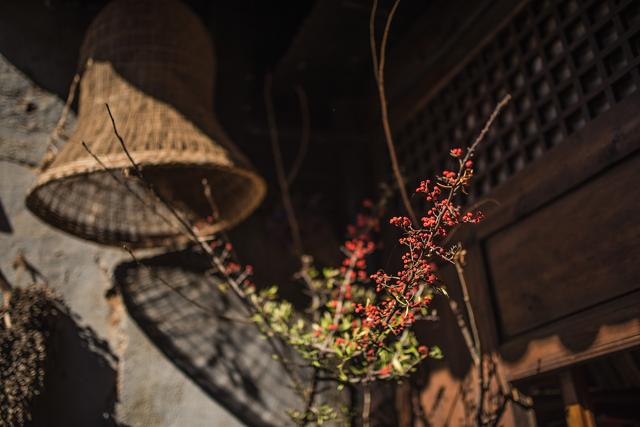 花正开（图ZNjg1NjA1NzY=） - 风光摄影 - 站酷设计师猫有灵原创素材 - 站酷ZCOOL