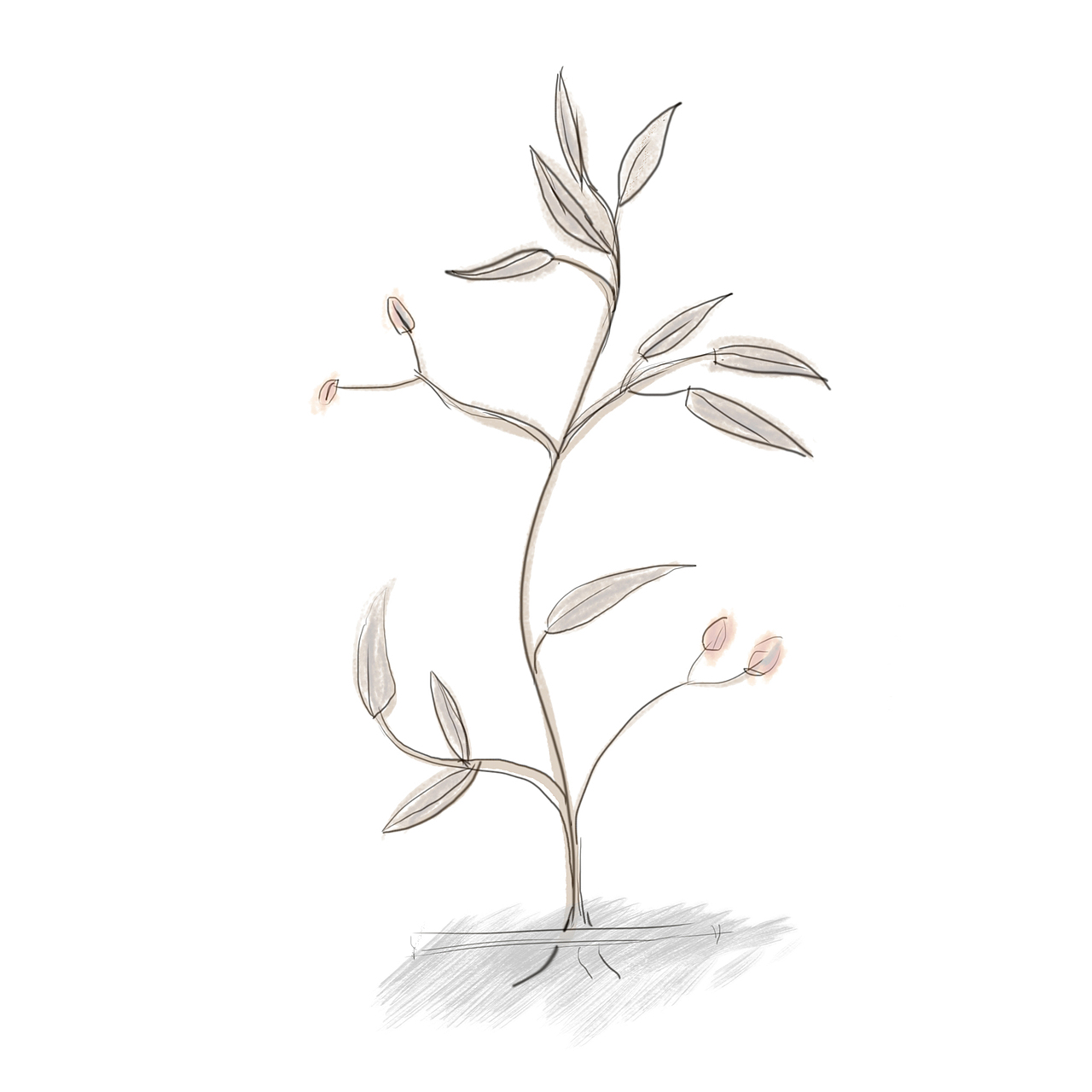 记录一下自己一个月学习的变化！