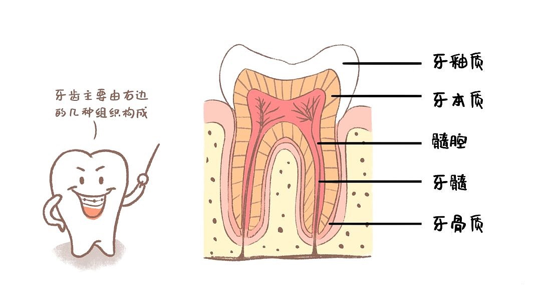 牙套保护牙釉质（图ZMjE1MzU0MTg0） - 艺术插画 - 站酷设计师没事画画哦原创素材 - 站酷ZCOOL
