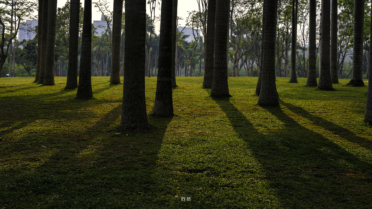 莲花山公园（图ZMjM2MDgxNDY0） - 人文/纪实摄影 - 站酷设计师咛然原创素材 - 站酷ZCOOL