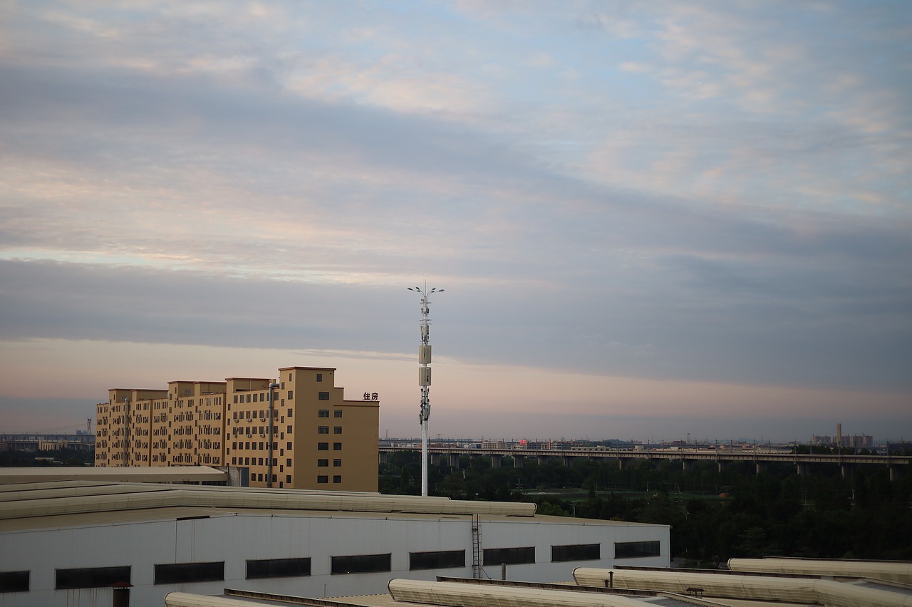 佛山日落、花和雨