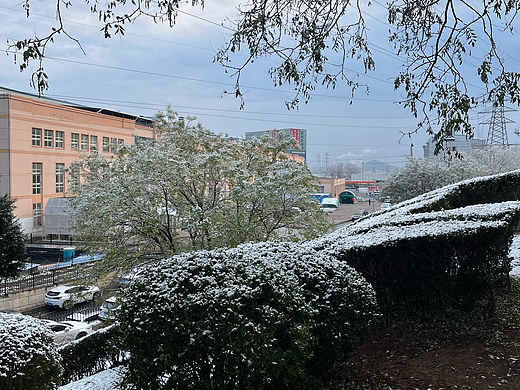 下雪啦