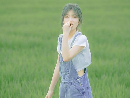 故乡的风夏日篇