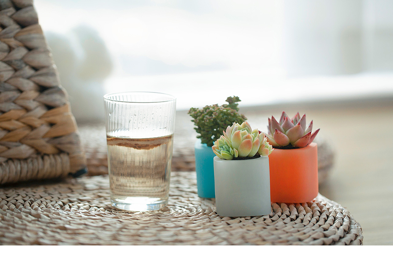 三款INS风家居无土栽培多肉植物-产品摄影（图ZMTMzNTk2Njgw） - 产品摄影 - 站酷设计师Pazza大安原创素材 - 站酷ZCOOL