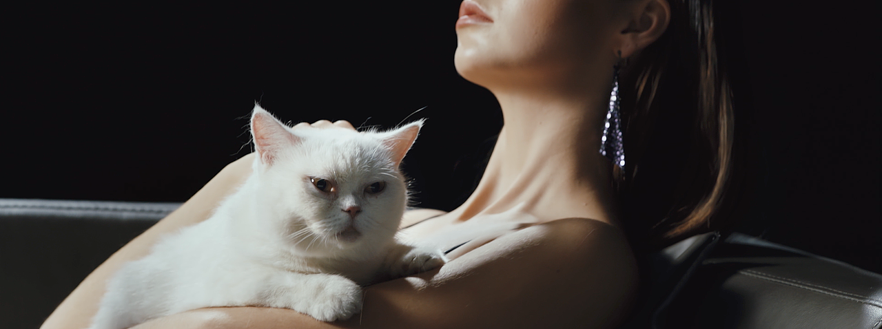 STACCATO – Xmas（图ZMjU0MDEyMjYw） - 短片 - 站酷设计师VisionVideo原创素材 - 站酷ZCOOL