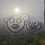 隔壁老大鱼的头像