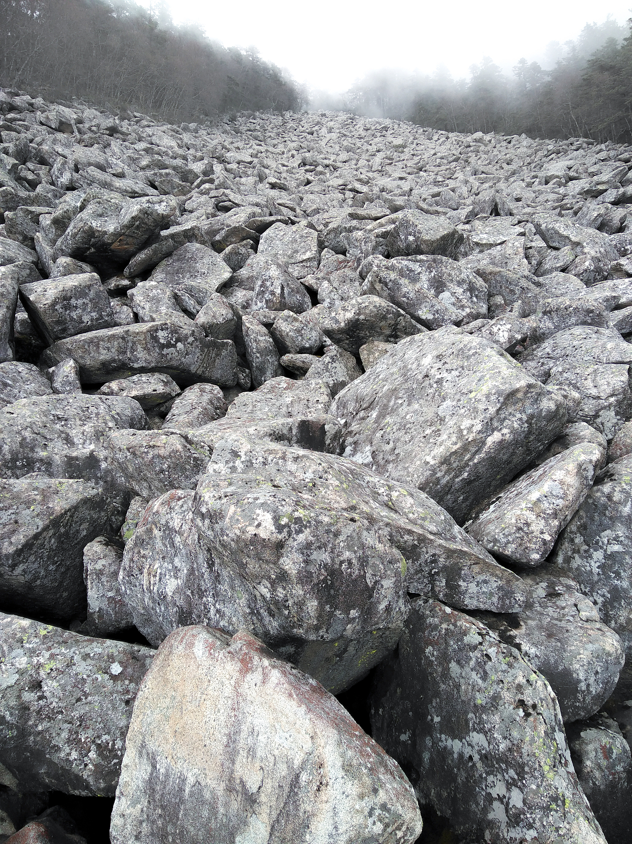 太白行(第三天)