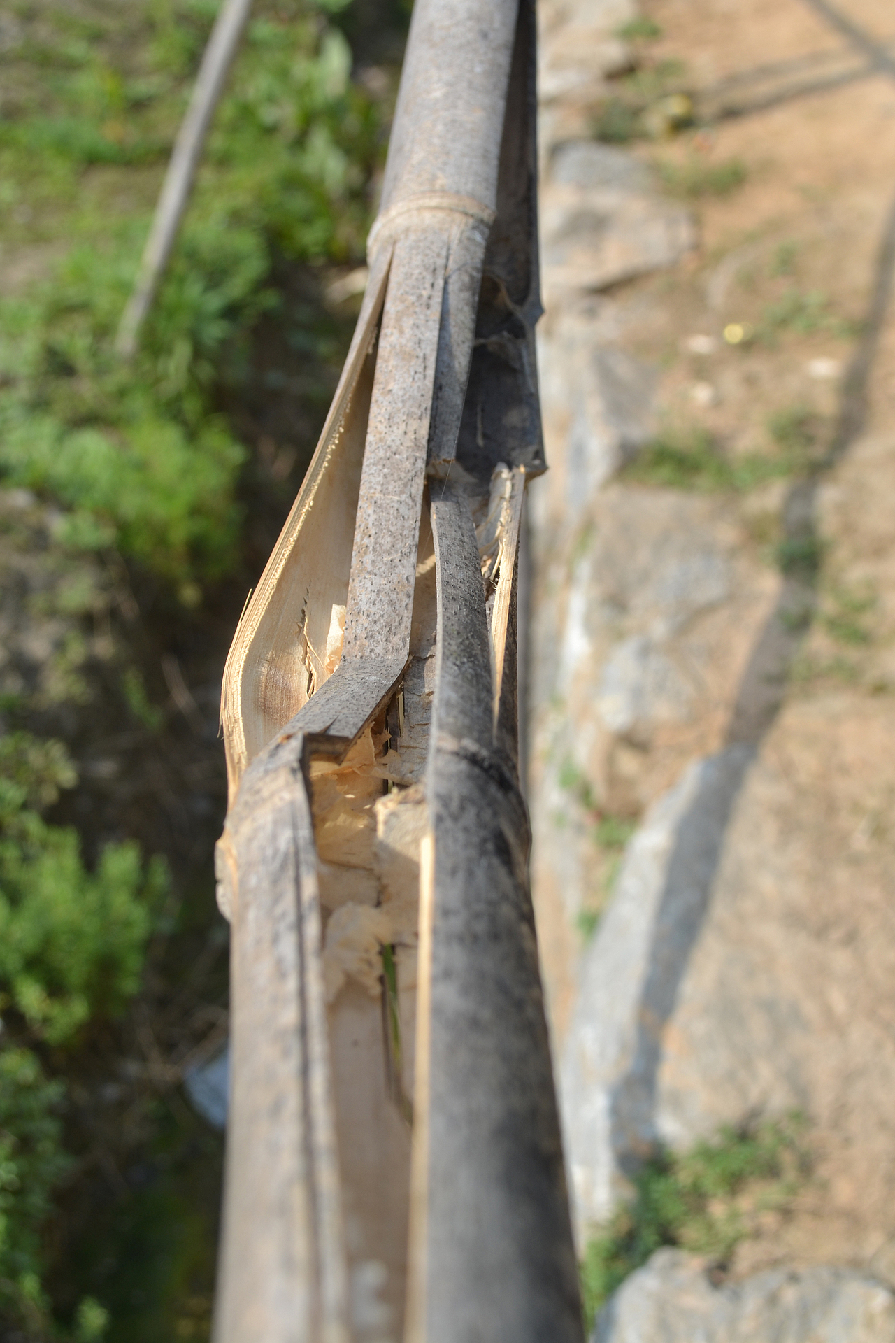 竹子特写 细节描写 竹子 竹节摄影 裂开的竹子