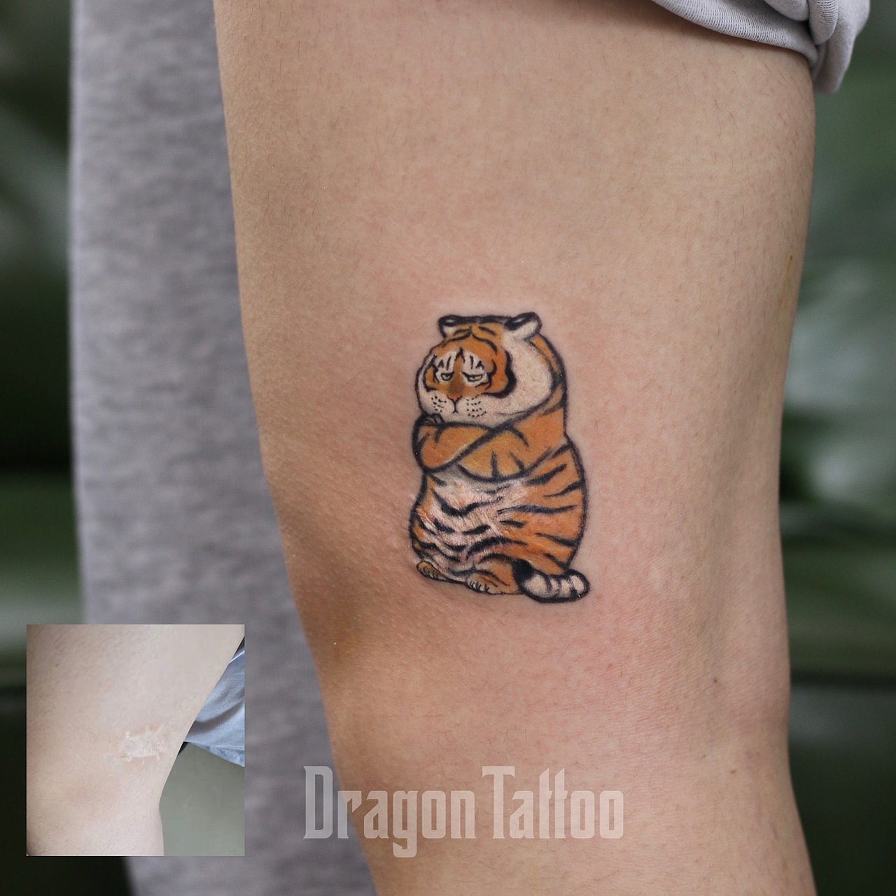 自带图不二胖虎纹身