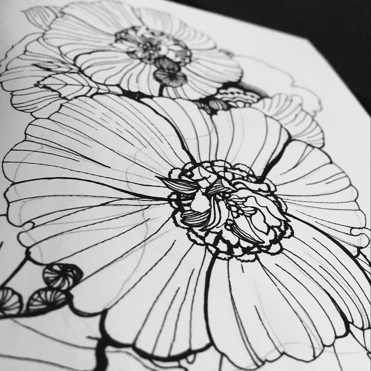 设计师必备的涂鸦本子