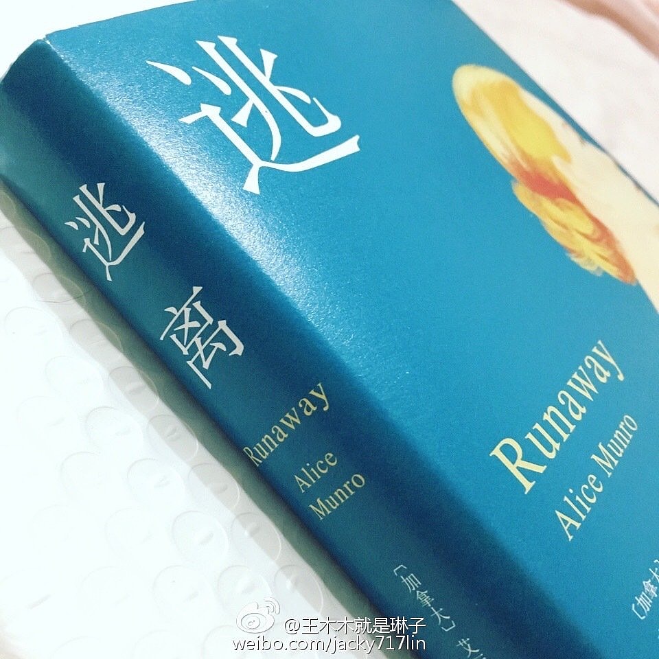 书籍装帧设计 | 诺贝尔文学奖得主艾丽丝·门罗《逃离》