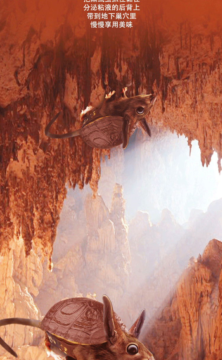 自媒体设计《末日之后》----沙（图ZMTYwNDM5NTY4） - 宣传物料 - 站酷设计师暹罗不是猫原创素材 - 站酷ZCOOL