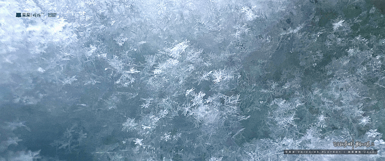 呆呆瞎拍 | 生·活（图ZMjg5MzU4NDYw） - 人文/纪实摄影 - 站酷设计师呆小东原创素材 - 站酷ZCOOL