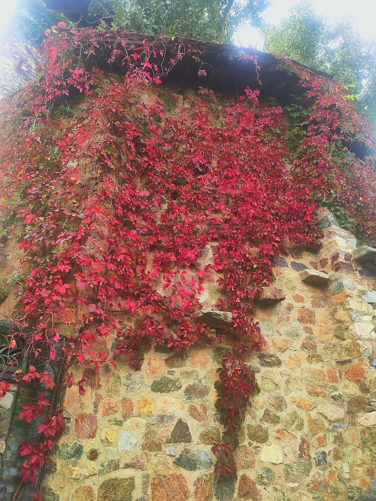 古北水镇手机摄影