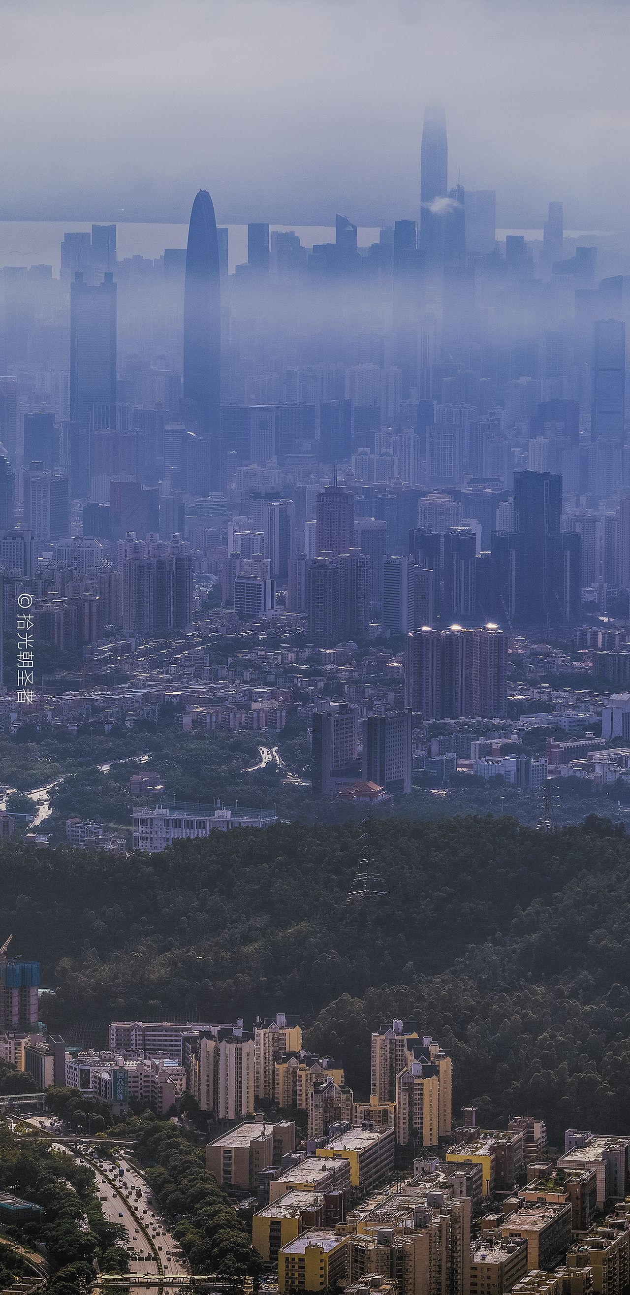 深圳梧桐山全景图