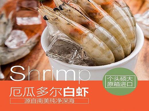 厄瓜多尔白虾