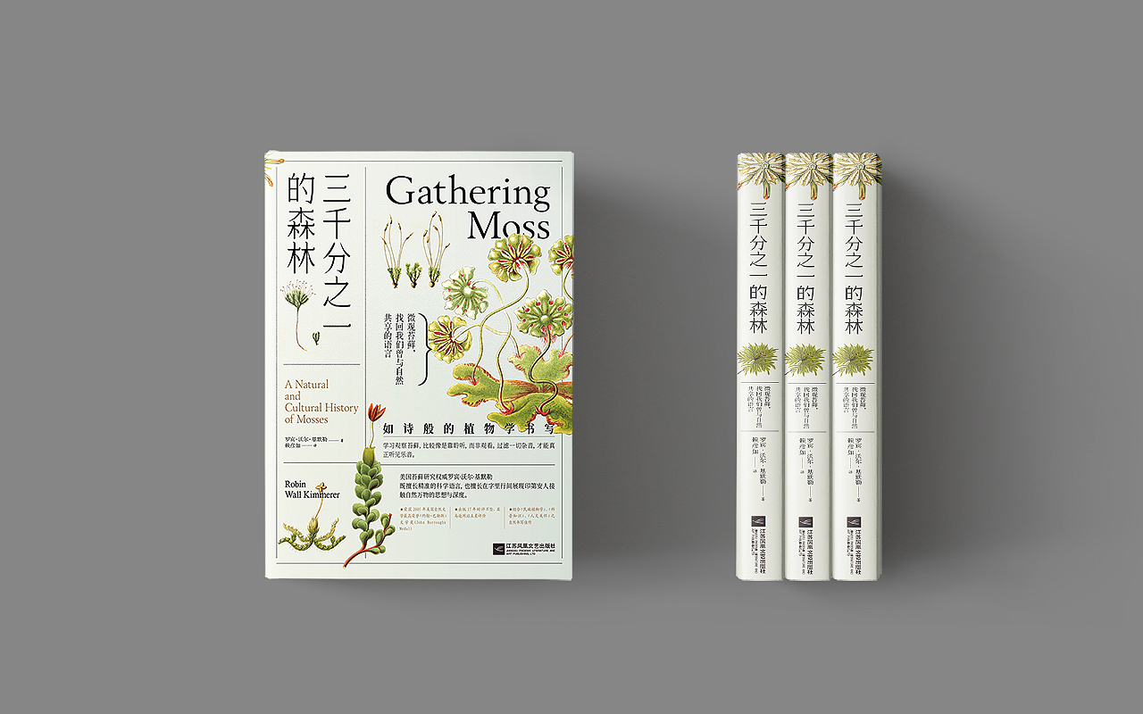 版式设计-书籍封面设计