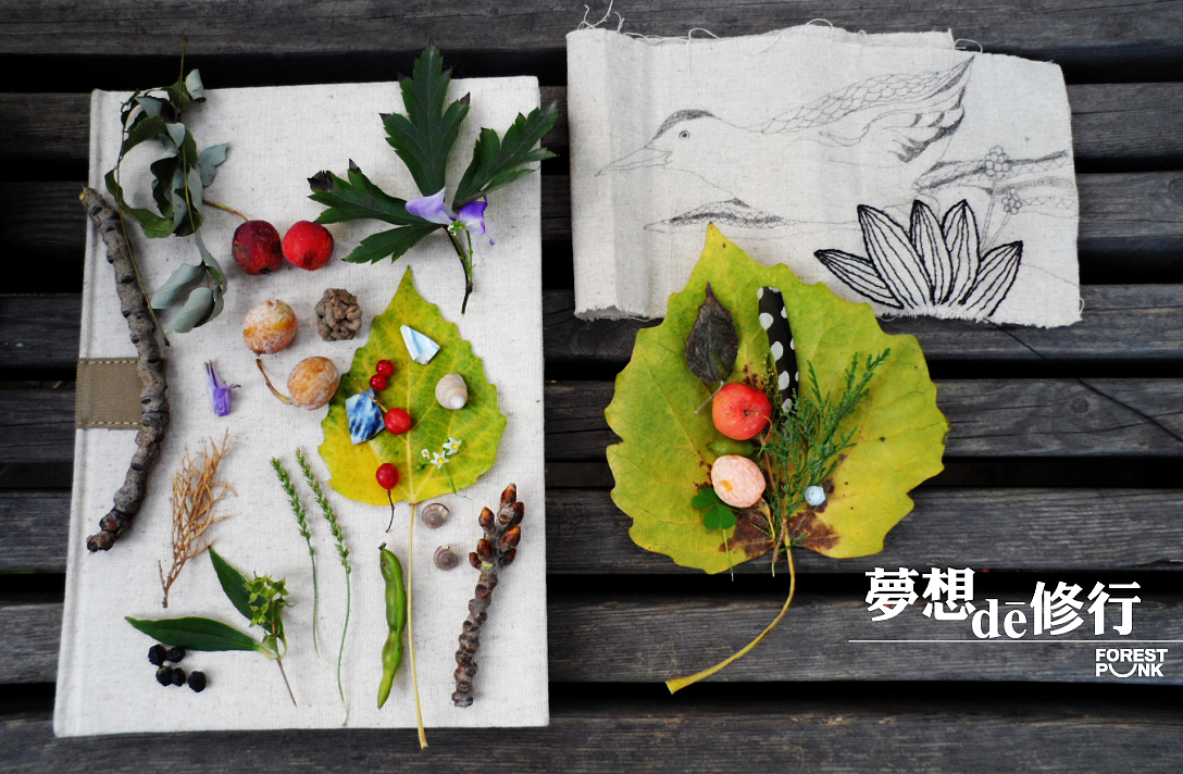 梦想de修行 系列之初起（图ZODA1OTY2NA==） - 绘画 - 站酷设计师自由的猞猁原创素材 - 站酷ZCOOL