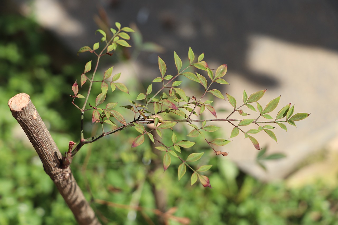 阳光明媚,出出门