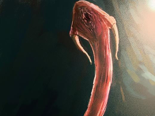 【板绘】生物概念 cave creature