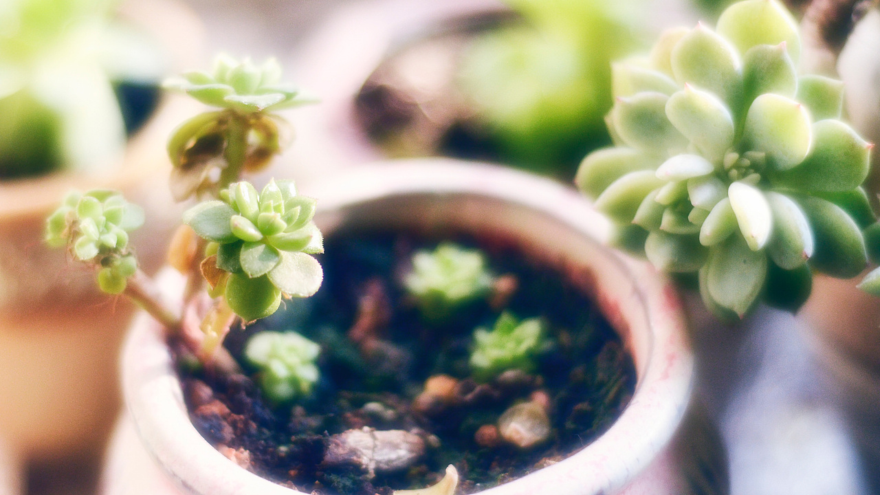 阳光（图ZMTA3NDg4MjA4） - 风光摄影 - 站酷设计师印记漫书原创素材 - 站酷ZCOOL