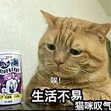 大橘橘为重的头像
