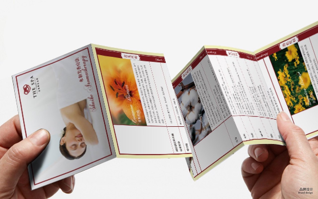 水和养生品牌设计