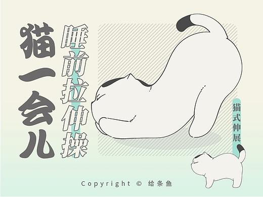 【猫一会儿】睡前健身操