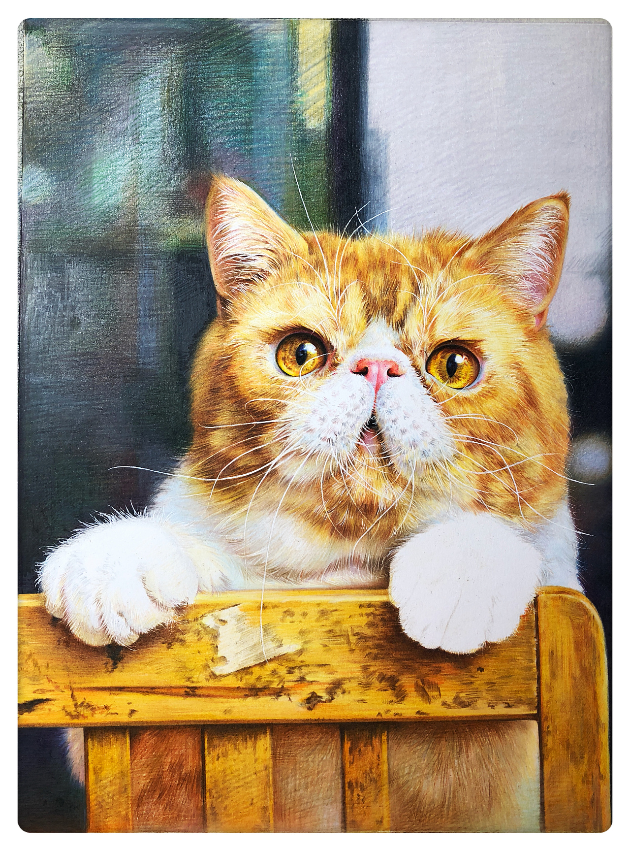 彩铅手绘加菲猫