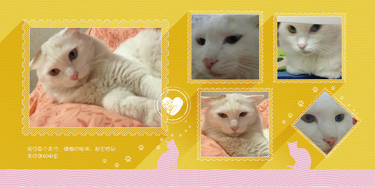 喵星人相册（图ZNDA3OTMxOTY=） - 其他平面 - 站酷设计师Rebecca_H原创素材 - 站酷ZCOOL