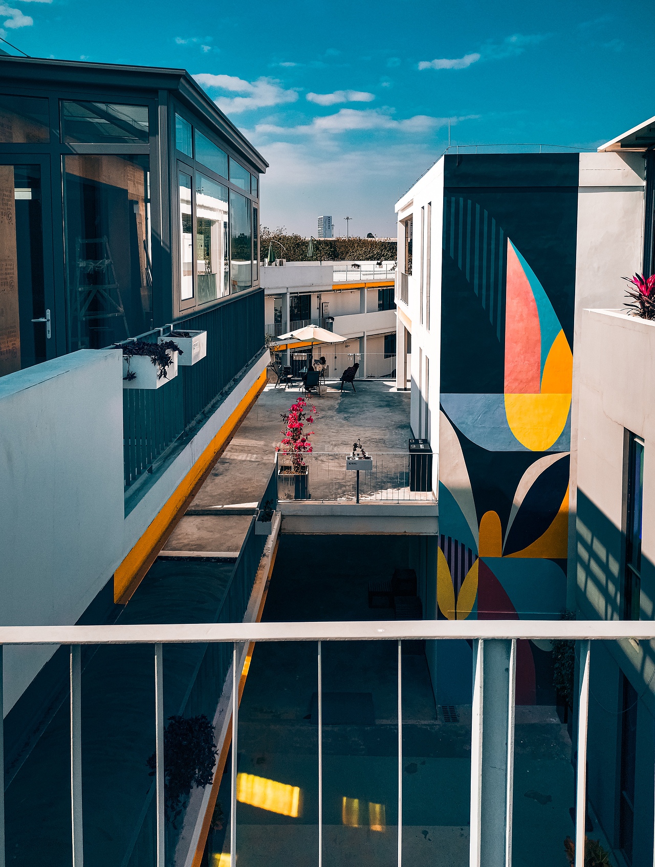 【手机摄影】天气好,拍啥都好!荣耀9X拍摄