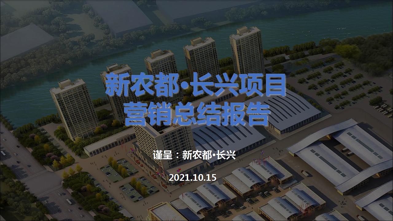 新农都长兴项目营销总结报告
