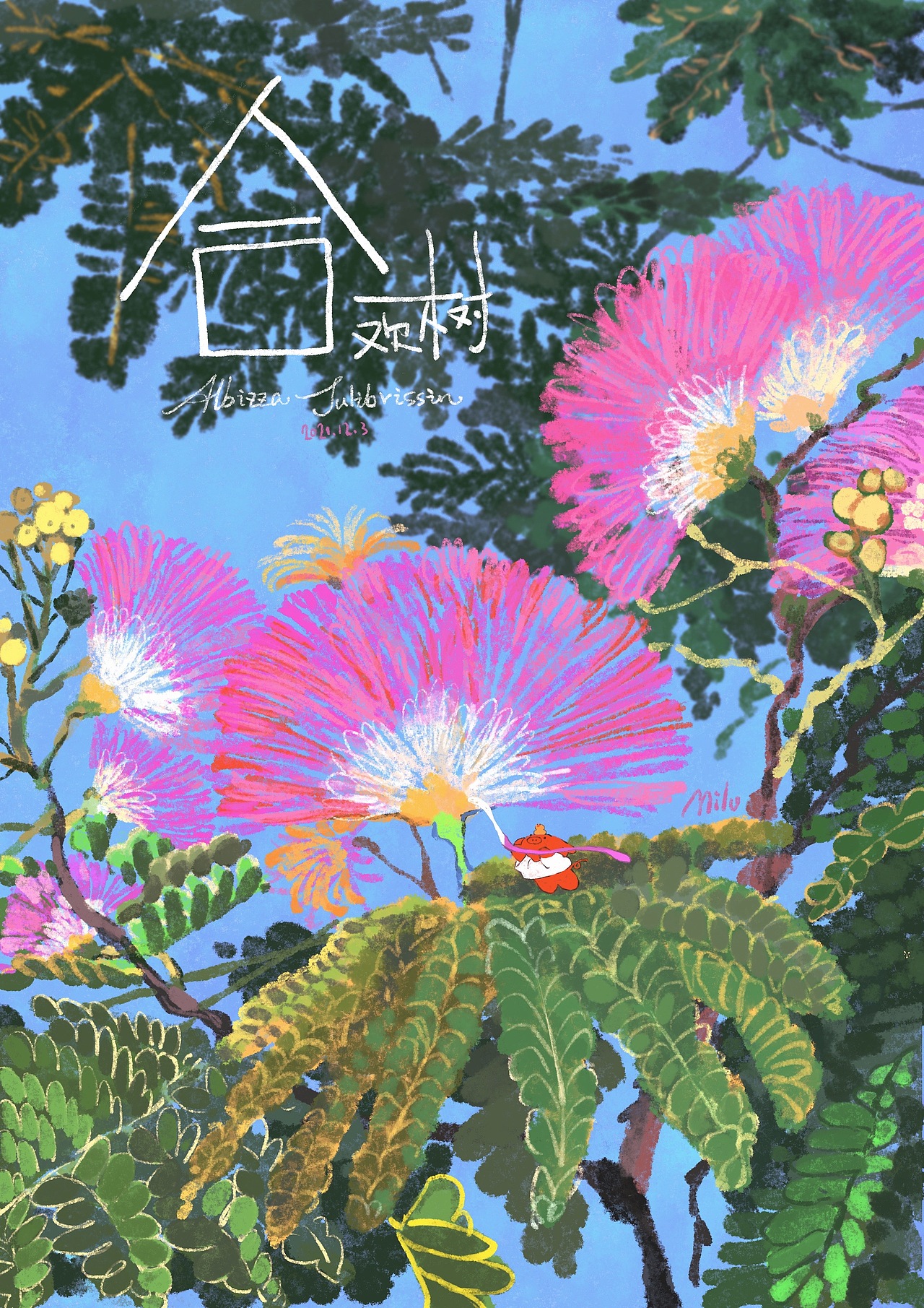 猪猪的花花世界
