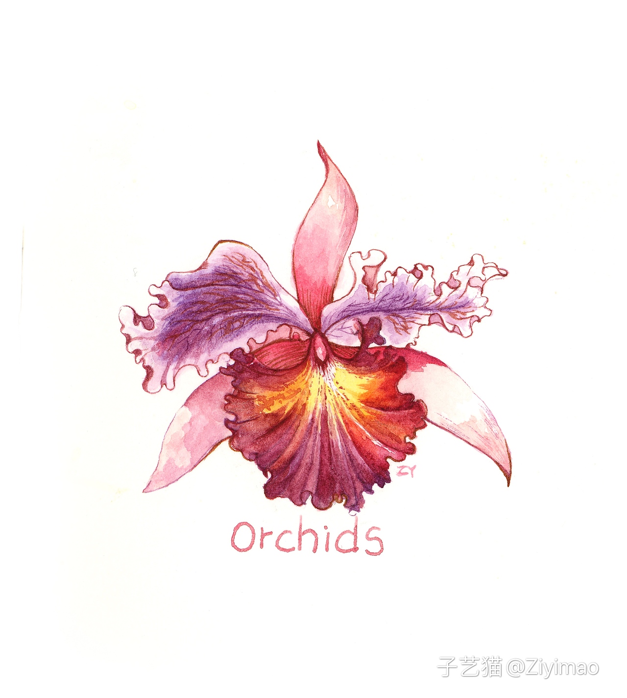 水彩-IELTS词汇书插图（图ZMTk1NDI0OTU2） - 商业插画 - 站酷设计师子艺猫原创素材 - 站酷ZCOOL