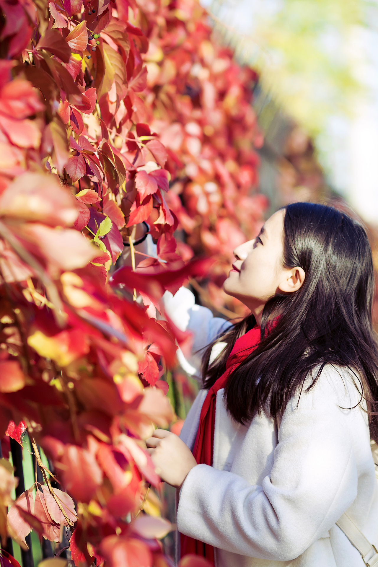 秋天·安安静静的绚烂