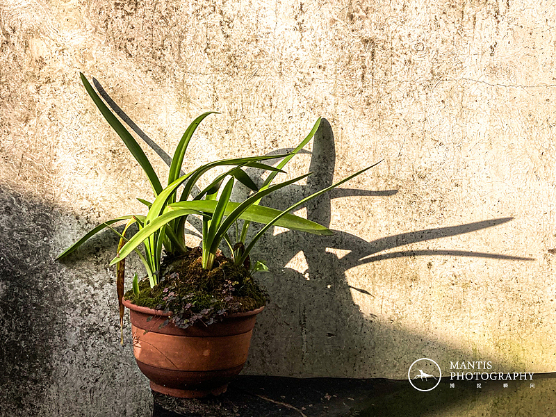 MANTIS 随拍2021（图ZMjgxNjA5NjY4） - 风光摄影 - 站酷设计师aaa62621185原创素材 - 站酷ZCOOL