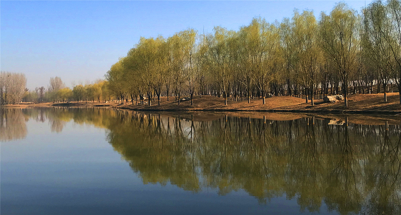 刘勇良手机纪实摄影:杨柳依依