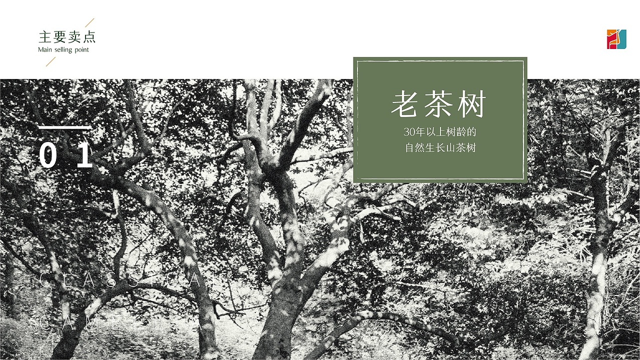 巨雄 品牌形象&产品包装升级（图ZMjY4NTM1NDUy） - 品牌 - 站酷设计师金针菇菇原创素材 - 站酷ZCOOL