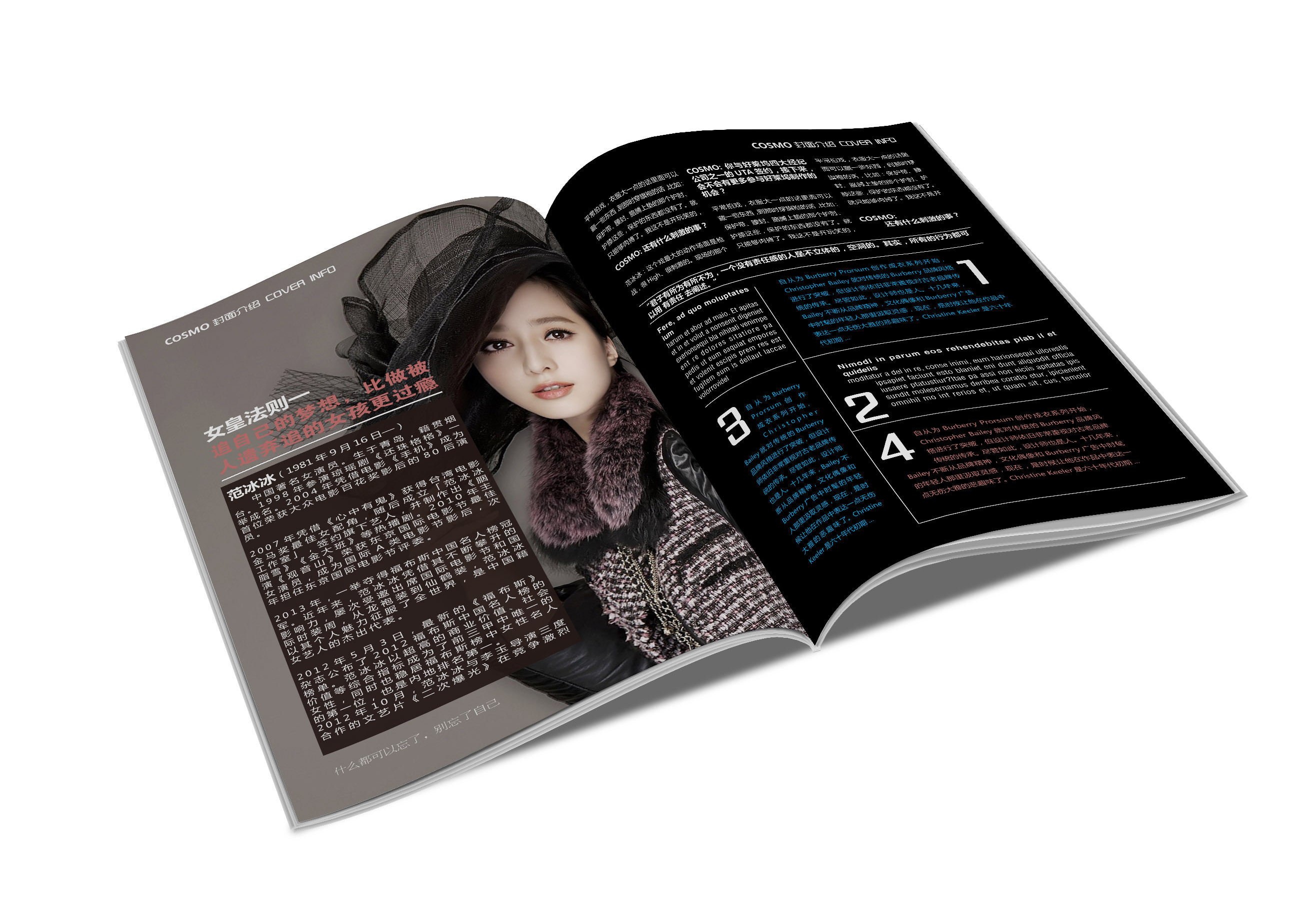 杂志封面 范冰冰 杂志排版