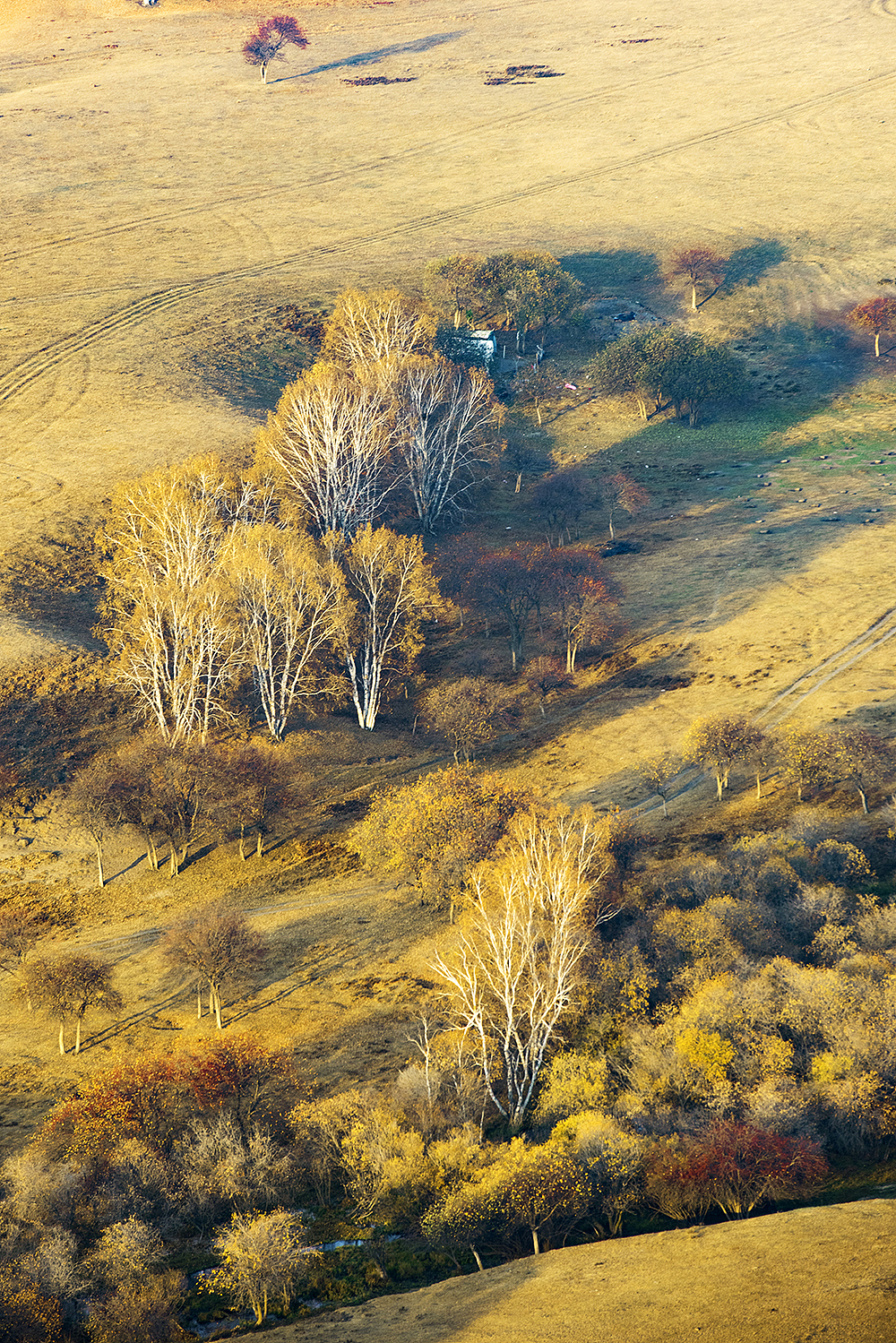 乌兰布统的秋（图ZMTc5MDM2NDc2） - 风光摄影 - 站酷设计师_深秋_原创素材 - 站酷ZCOOL