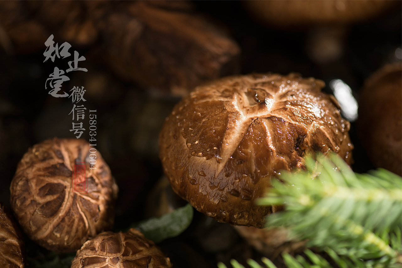 太原美食摄影电商食品拍照外卖菜品拍摄菜谱设计制作（图ZMTE1MDQ2NjQ0） - 产品摄影 - 站酷设计师知止堂原创素材 - 站酷ZCOOL