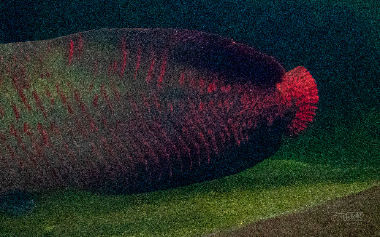 20191214青青世界