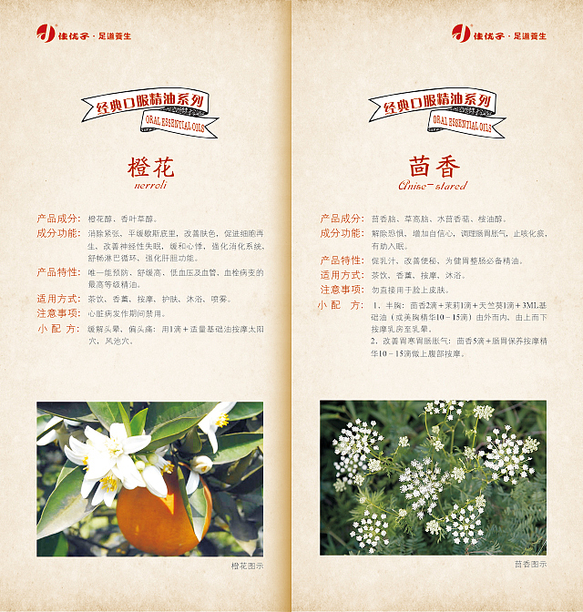 养生小册子 画册 中国风 产品说明 产品手册 古典画册