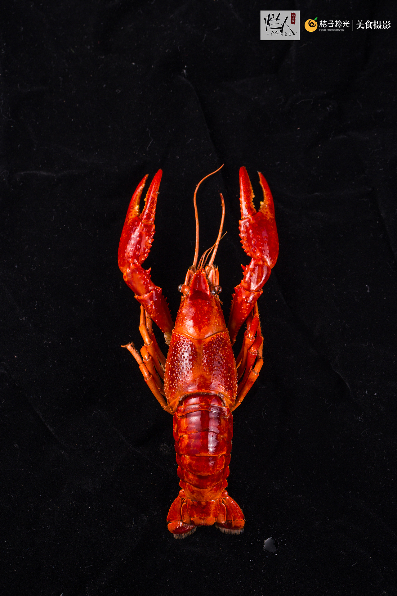 厦门一个烂人开的餐厅小龙虾拍摄宣传图片