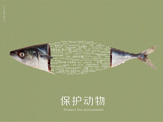 《公益海报》——保护动物