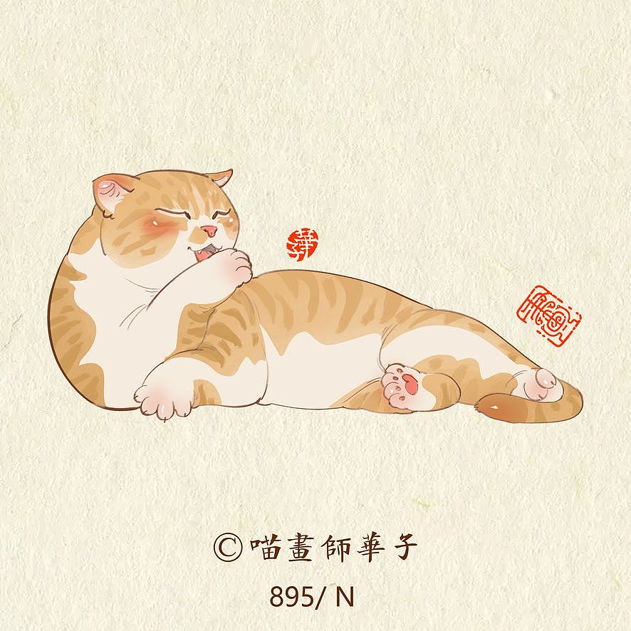 画猫的第三季250天,937天的画猫纪录