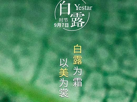 白露节气海报（补发）（个人主页-ZMjQ0MjQ2ODA=） - 海报 - 站酷设计师binne宾尼原创素材 - 站酷ZCOOL