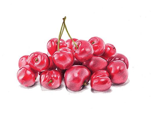 【驴大萌彩铅教程249】手绘24节气水果图鉴 春分樱桃