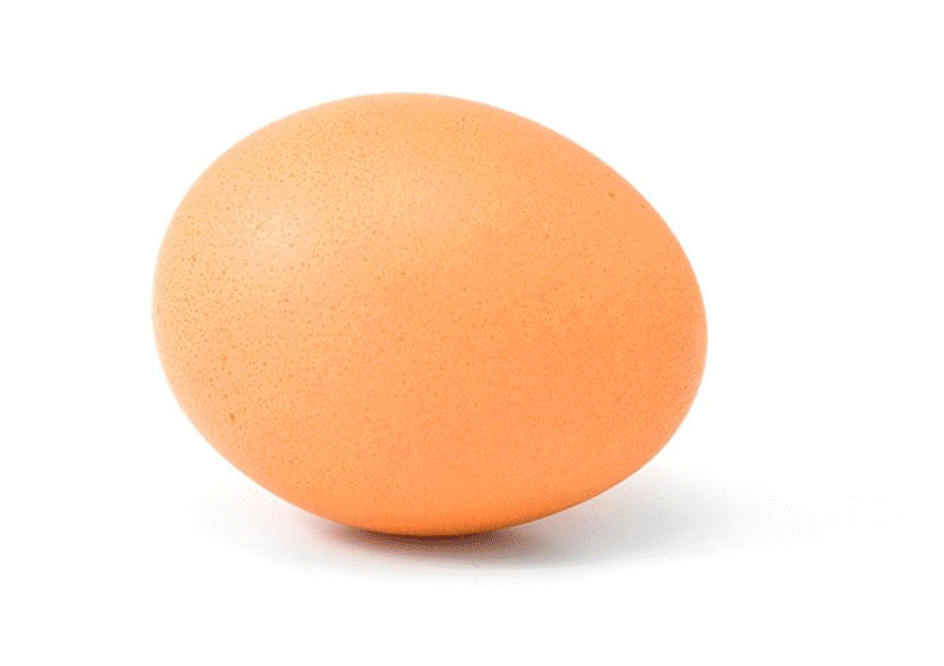 就是你!一个大鸡蛋!考试考o蛋!到底先有鸡还是先有蛋?